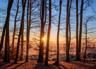 Czy kąpielówki to bielizna? Czy kąpielówki to bielizna?