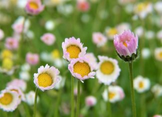 Kto ma ile bomb atomowych? Kto ma ile bomb atomowych?