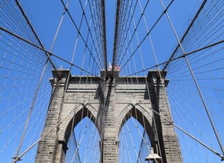 Jaka smycz Linka czy taśma? Jaka smycz Linka czy taśma?