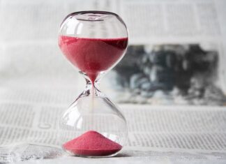 Ile godzin może być pies na łańcuchu?