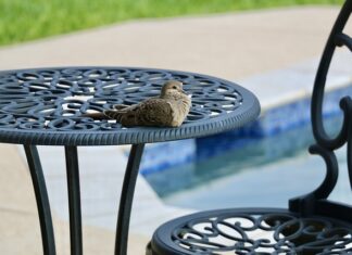 Czy dziecko po basenie trzeba kąpać? Czy dziecko po basenie trzeba kąpać?