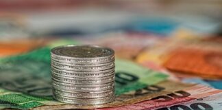 Jaki jest miesięczny koszt utrzymania konia?