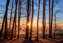 Jakie kąpielówki na basen?