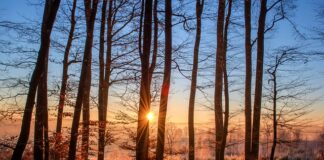 Jakie kąpielówki na basen?