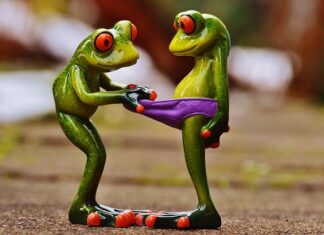 Co jest lepsze slipy czy bokserki? Co jest lepsze slipy czy bokserki?