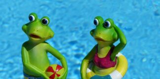 Co do pływania dla dorosłych?