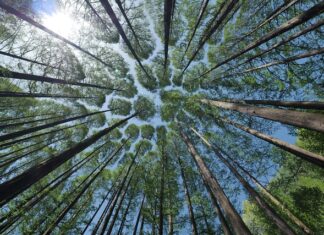 Po co daszek w kasku MTB?