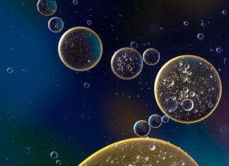 Czy na wodzie trzeba mieć kapok?