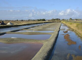 Kto nie może korzystać z basenów termalnych?