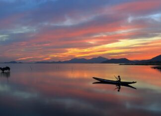 Jak zacząć łowić karpie? Jak zacząć łowić karpie?