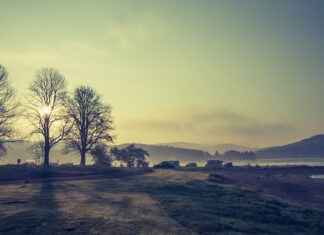 Czy można zostawić namiot na polu namiotowym? Czy można zostawić namiot na polu namiotowym?