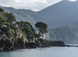 Ile kosztuje AK 103? Ile kosztuje AK 103?