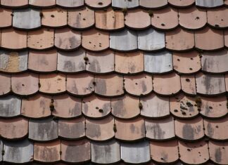 Ile kosztuje wędka karpiówka? Ile kosztuje wędka karpiówka?