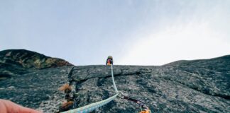 Jaki Karabińczyk dla psa?