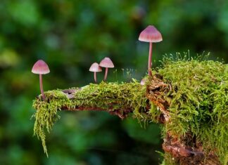 Jakie są rodzaje kasków? Jakie są rodzaje kasków?