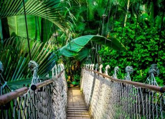 Jak wygląda kurs spadochronowy? Jak wygląda kurs spadochronowy?