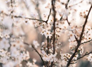 Z czego zrobiony jest krążek do gry w hokeja?