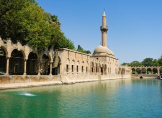 Jaka wędka karpiowa do 300 zł? Jaka wędka karpiowa do 300 zł?