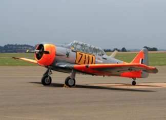 Jak oduczyć psa żeby nie ciągnął na smyczy? Jak oduczyć psa żeby nie ciągnął na smyczy?